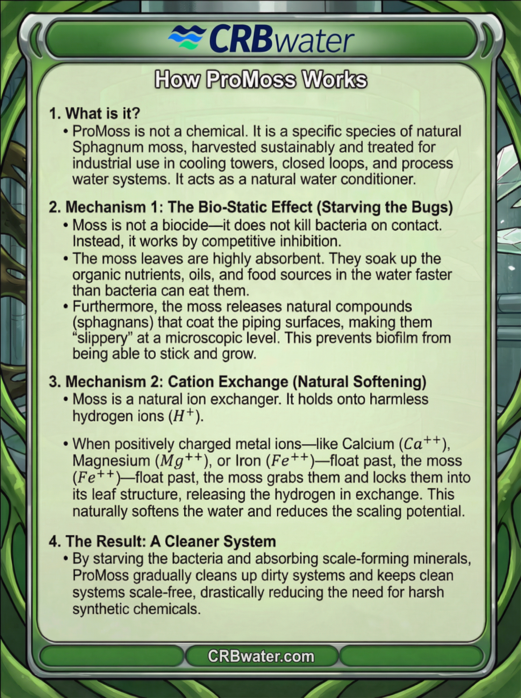 Walker Prime — Back